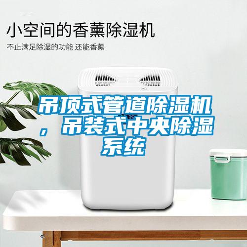 吊頂式管道除濕機，吊裝式中央除濕系統