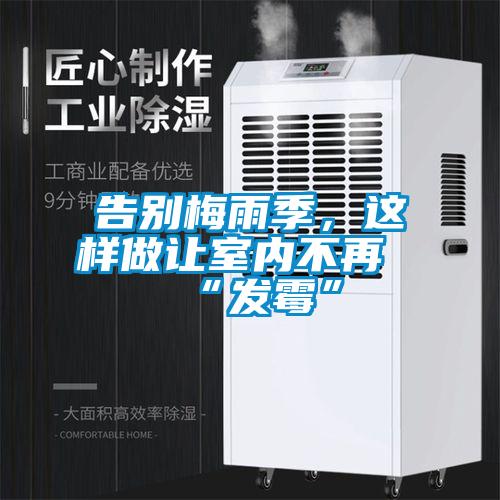 告別梅雨季，這樣做讓室內不再“發霉”