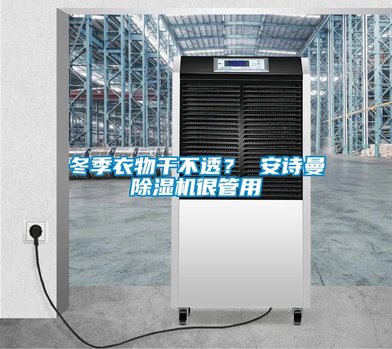 冬季衣物干不透？ 安詩曼除濕機很管用