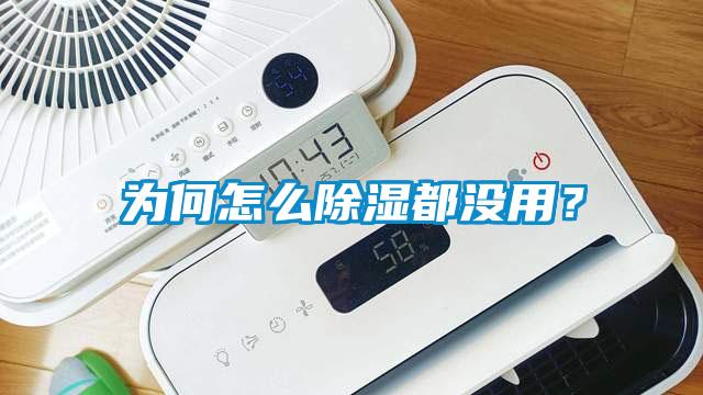 為何怎么除濕都沒用？