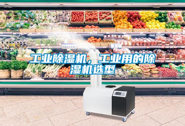 工業(yè)除濕機(jī)，工業(yè)用的除濕機(jī)選型