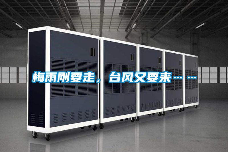 梅雨剛要走，臺風又要來……