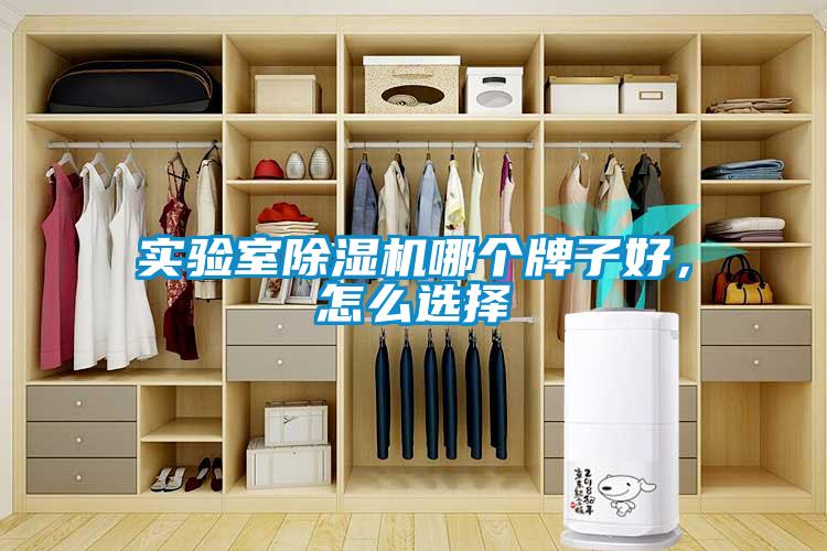 實(shí)驗(yàn)室除濕機(jī)哪個(gè)牌子好，怎么選擇