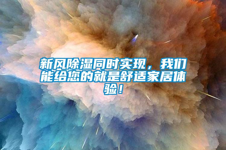 新風除濕同時實現，我們能給您的就是舒適家居體驗！