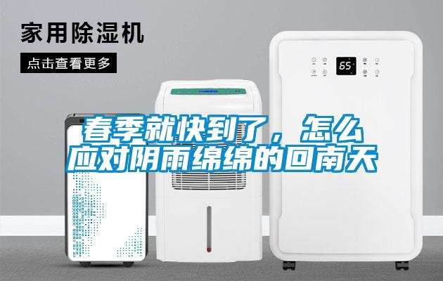 春季就快到了，怎么應對陰雨綿綿的回南天