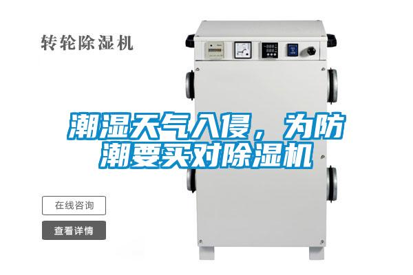 潮濕天氣入侵，為防潮要買對除濕機