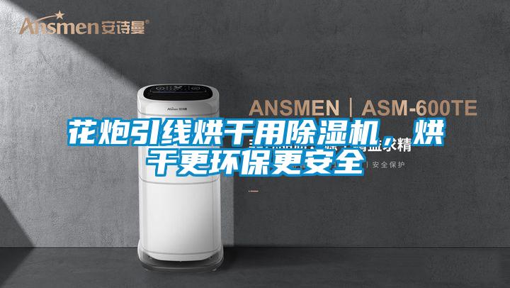花炮引線烘干用除濕機，烘干更環保更安全