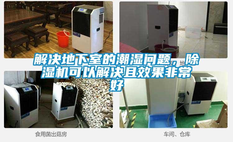 解決地下室的潮濕問題，除濕機可以解決且效果非常好