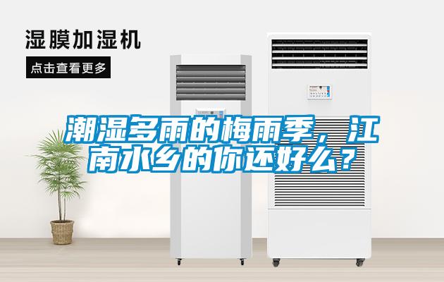 潮濕多雨的梅雨季，江南水鄉的你還好么？