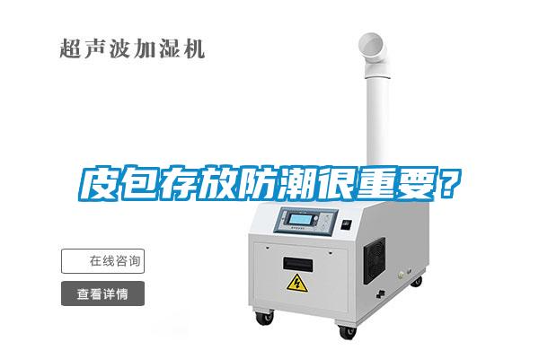 皮包存放防潮很重要？