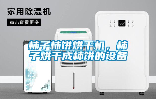 柿子柿餅烘干機，柿子烘干成柿餅的設備