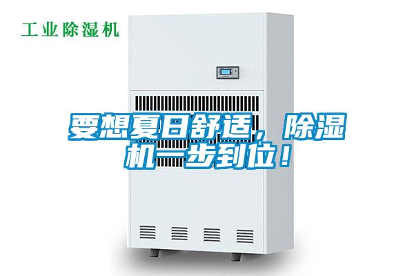要想夏日舒適，除濕機一步到位！