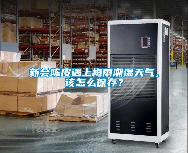 新會陳皮遇上梅雨潮濕天氣，該怎么保存？
