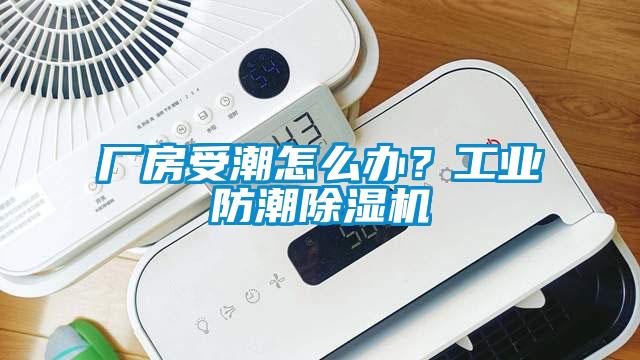 廠房受潮怎么辦？工業防潮除濕機