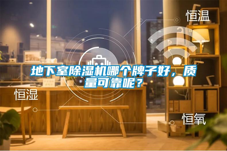 地下室除濕機哪個牌子好，質量可靠呢？