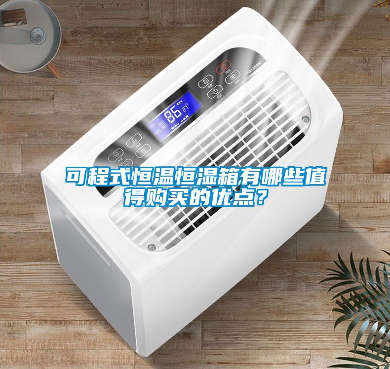 可程式恒溫恒濕箱有哪些值得購買的優點？