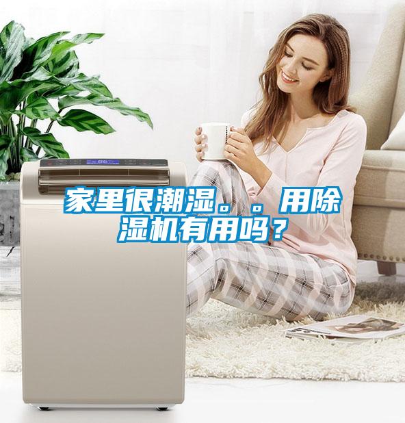家里很潮濕。。用除濕機(jī)有用嗎？