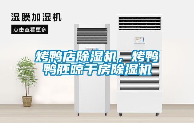 烤鴨店除濕機，烤鴨鴨胚晾干房除濕機