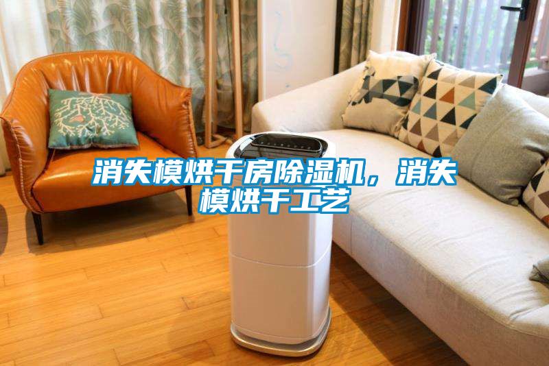 消失模烘干房除濕機，消失模烘干工藝