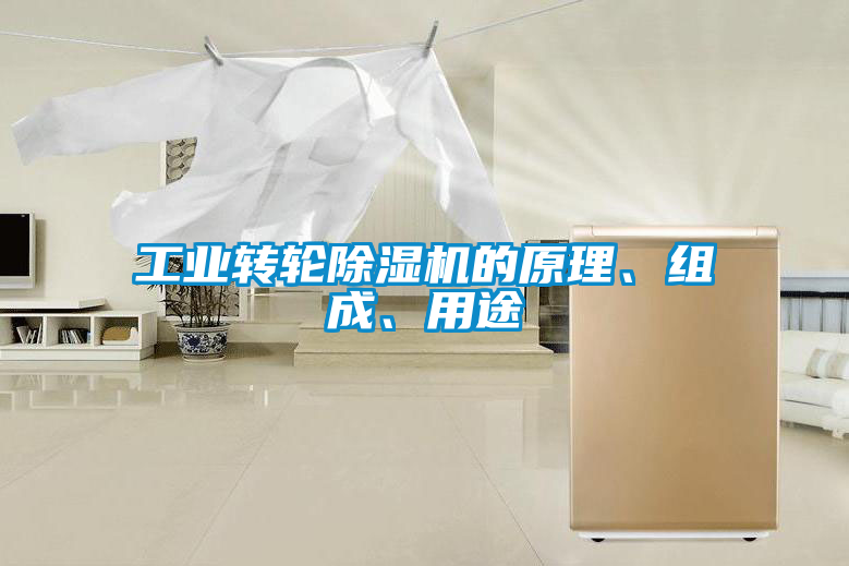 工業(yè)轉(zhuǎn)輪除濕機的原理、組成、用途