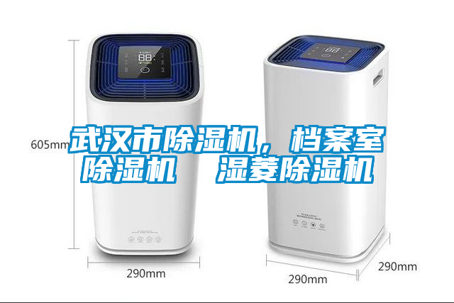 武漢市除濕機，檔案室除濕機  濕菱除濕機