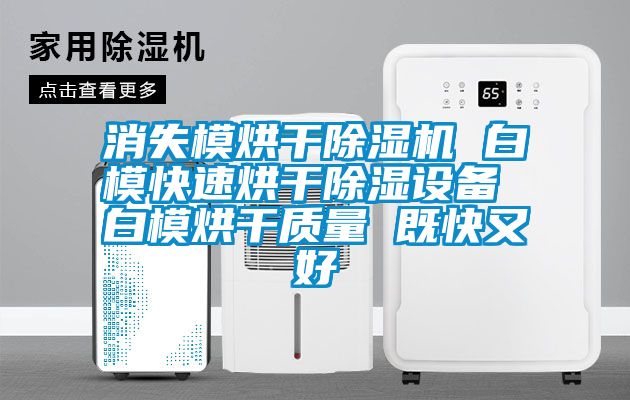 消失模烘干除濕機 白?？焖俸娓沙凉裨O備 白模烘干質量 既快又好