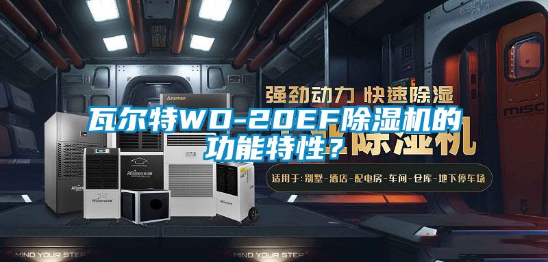瓦爾特WD-20EF除濕機的功能特性？