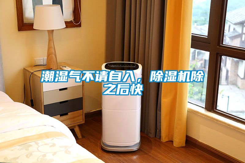 潮濕氣不請自入，除濕機除之后快