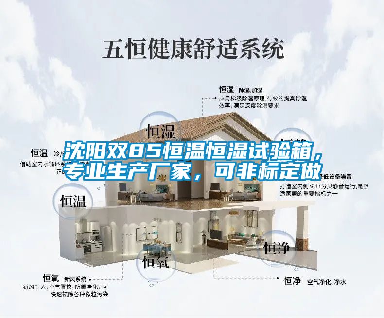 沈陽雙85恒溫恒濕試驗箱，專業生產廠家，可非標定做
