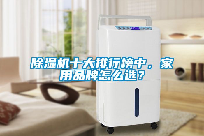 除濕機十大排行榜中，家用品牌怎么選？