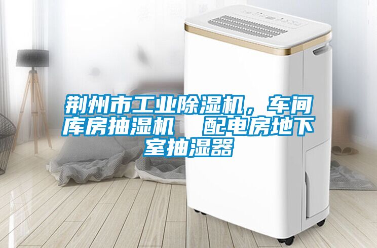 荊州市工業除濕機，車間庫房抽濕機  配電房地下室抽濕器