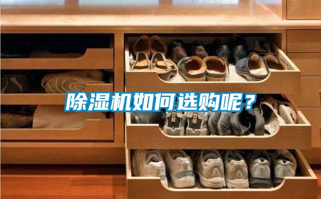 除濕機如何選購呢？