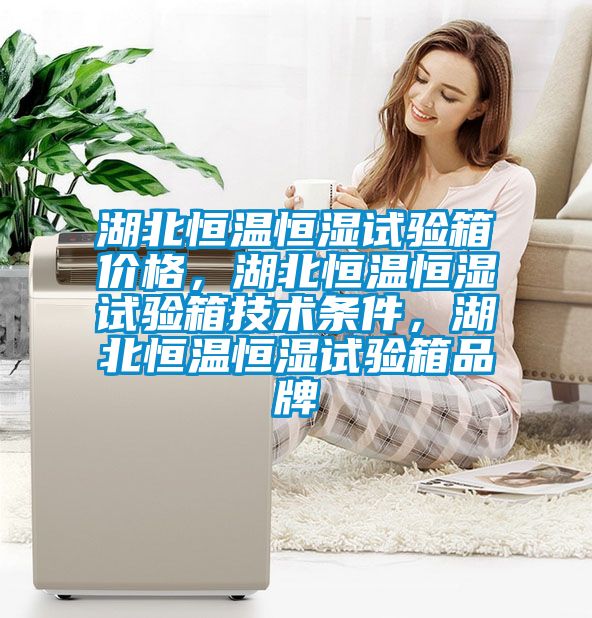 湖北恒溫恒濕試驗箱價格，湖北恒溫恒濕試驗箱技術條件，湖北恒溫恒濕試驗箱品牌