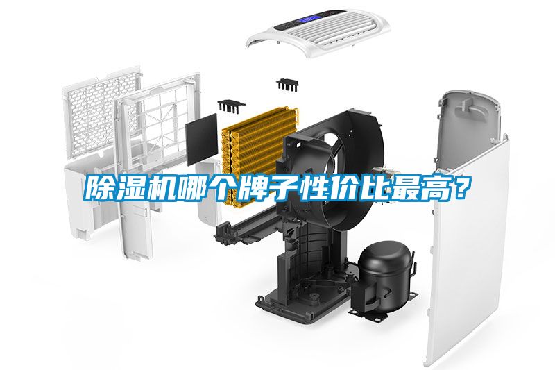除濕機哪個牌子性價比最高？