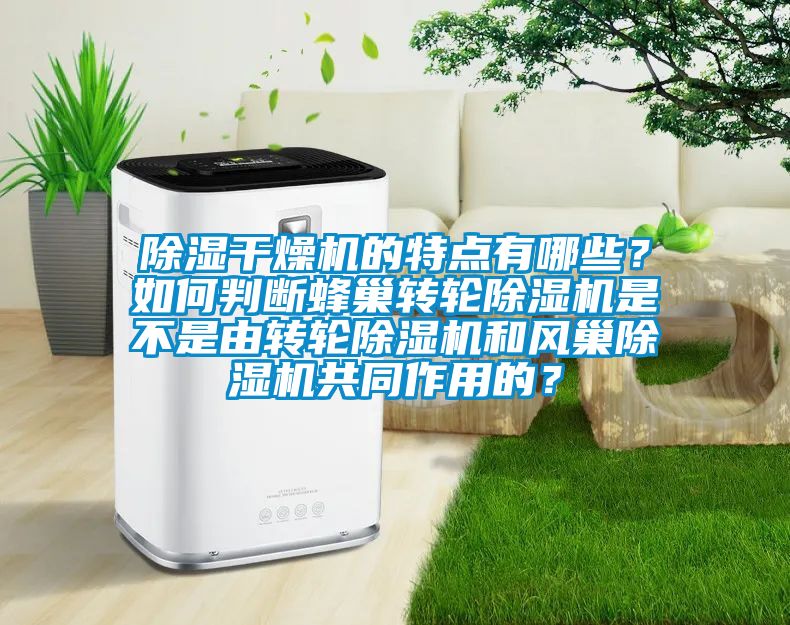 除濕干燥機(jī)的特點(diǎn)有哪些？如何判斷蜂巢轉(zhuǎn)輪除濕機(jī)是不是由轉(zhuǎn)輪除濕機(jī)和風(fēng)巢除濕機(jī)共同作用的？