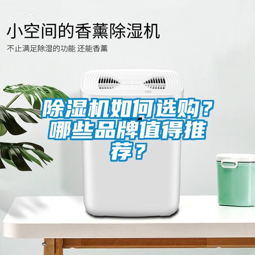 除濕機如何選購？哪些品牌值得推薦？
