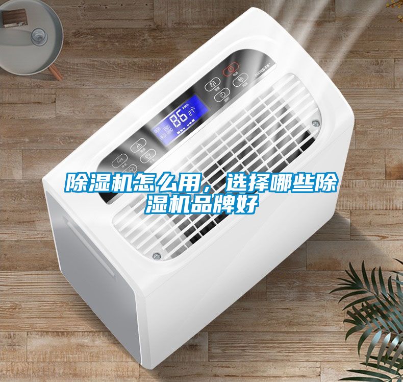 除濕機(jī)怎么用，選擇哪些除濕機(jī)品牌好