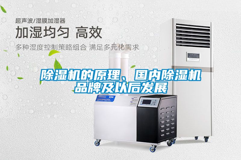 除濕機的原理、國內除濕機品牌及以后發展