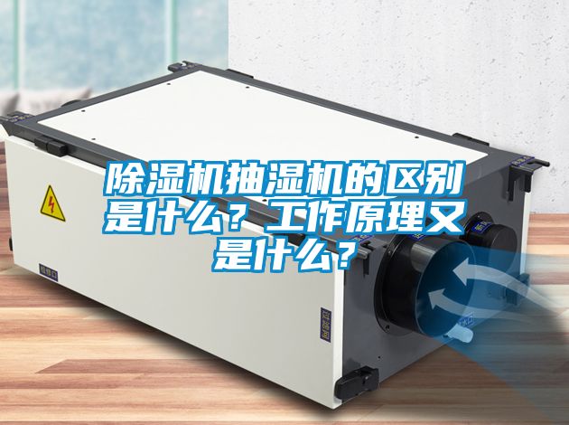 除濕機抽濕機的區別是什么？工作原理又是什么？