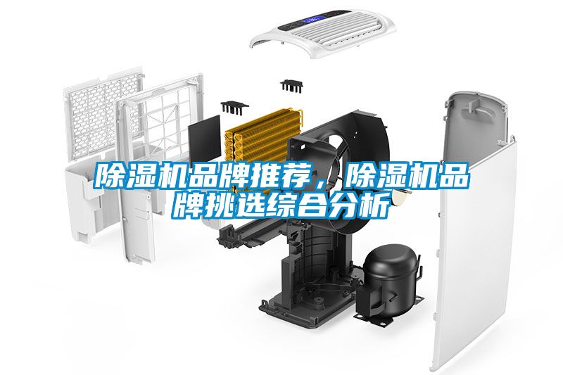 除濕機(jī)品牌推薦，除濕機(jī)品牌挑選綜合分析