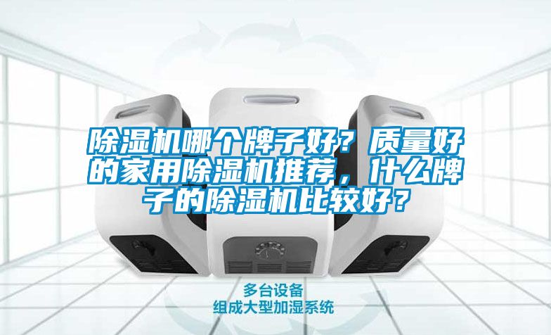 除濕機哪個牌子好？質量好的家用除濕機推薦，什么牌子的除濕機比較好？