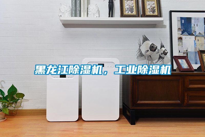 黑龍江除濕機(jī)，工業(yè)除濕機(jī)